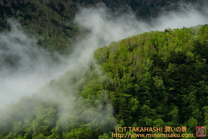 ../Images/7R250525 (110).jpg